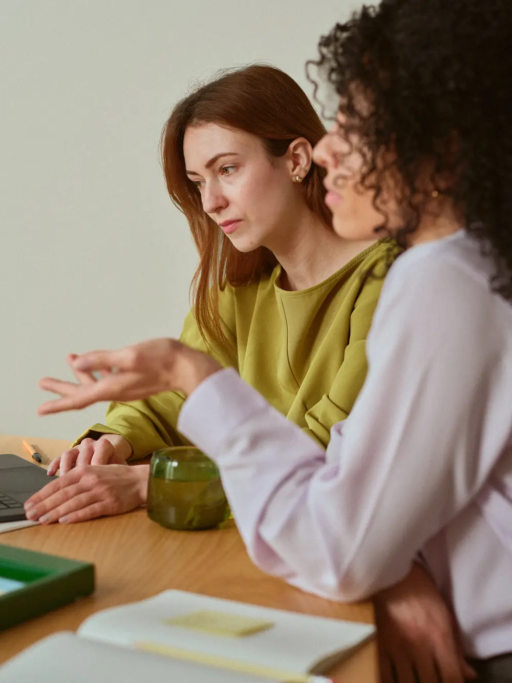 Professionals in a client meeting